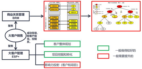 從史萊克7怪的封神之路看銷售團隊的配合