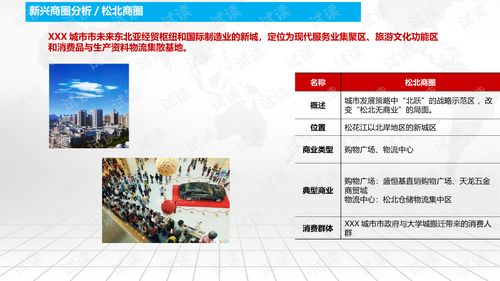 商業廣場招商運營及物業管理綜合解決方案.ppt