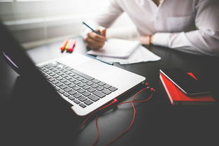 太全了 美國大學商業管理 自然科學等熱門專業解讀及就業前景分析