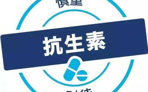 慢病界 廣州南雪醫療器械將亮相2019年第十屆中國慢病管理大會暨國際慢病管理論壇 慢病產業展